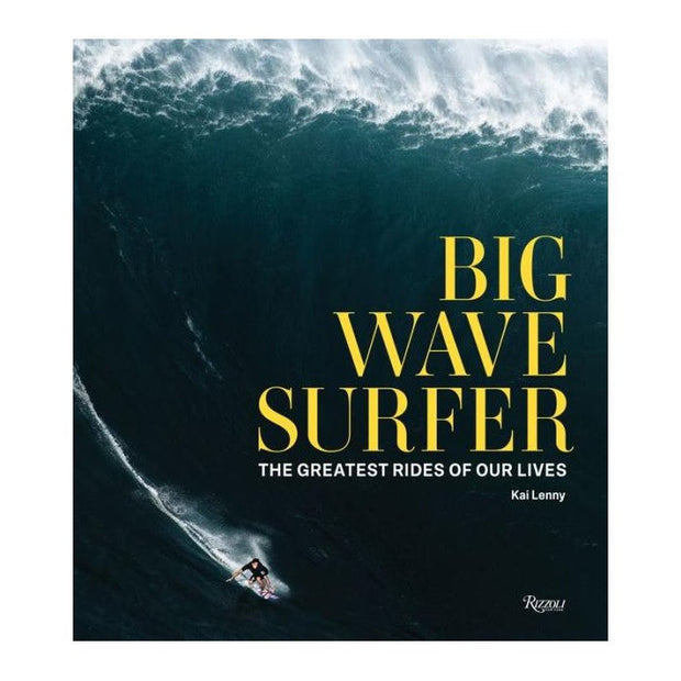 BIG WAVE SURFER