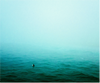 SURFER IN FOG